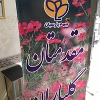 نمایندگی بیمه پارسیان.سلیمانی