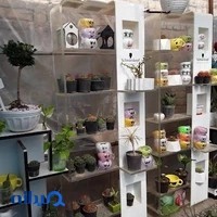 QomGol - قم گل
