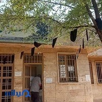 لیبل ارزان دیجی کالا