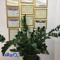 دکتر روشنک غفاری
