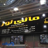 گروه روشنایی مانی نور