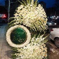 گل شهرزاد