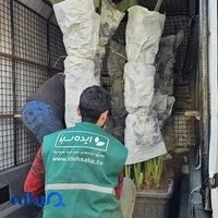 ایده سبز Green idea