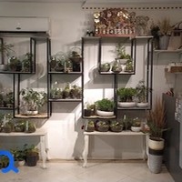 گل فروشی موگ