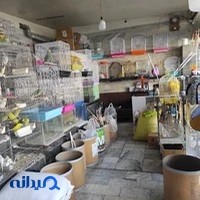 پرنده سرای دارابی