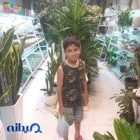 گل وگیاه سون