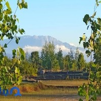 سپید سنگ عیوضی شعبه ۲