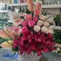 گل سن سیرو