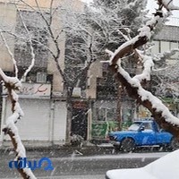 مانی بیمه