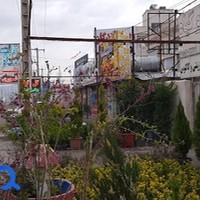 گل و گیاه حسینی