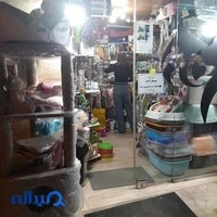 پت شاپ پانیا