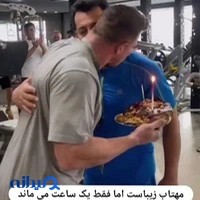 نیولایف