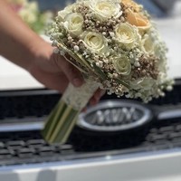 گل سرای تارا