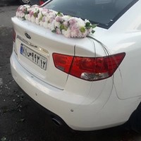گل سنگ