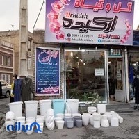 گلخانه آیاز گل ارومیه