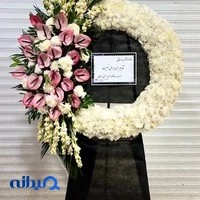 گل رابو