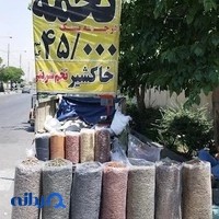 کارتن ایران