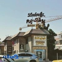 آژانس هواپیمایی خورشید شهداد