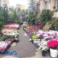 موسسه کشاورزی آرش