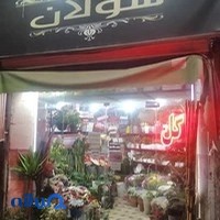 گلفروشی سولان