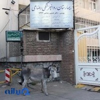 بیمارستان روانپزشکی رضاعی