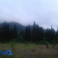 خدمات فنی متقی