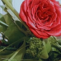 گالری ترنج