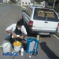 سمپاشی پگاه غرب شعبه دادمان