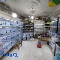 پرنده سرای سبو
