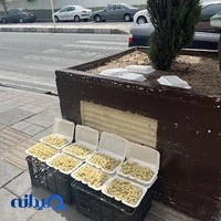 صافکاری نقاشی توحید