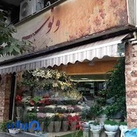 گلفروشی ونوس