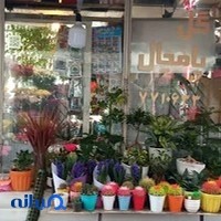 گل و گیاه انگور