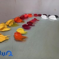 تابلو نقاشی فروش وآموزش