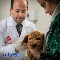 آزمایشگاه تخصصی دامپزشکی لابراوت