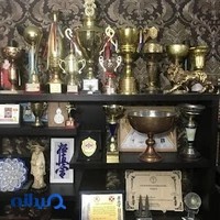 سایت هنرهای رزمی