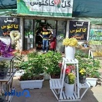 نمایشگاه گل و کاکتوس آبتاب