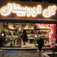 گلفروشی اوربیتال