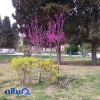 بوستان گیاه شناسی غدیر-فاروق شادآباد