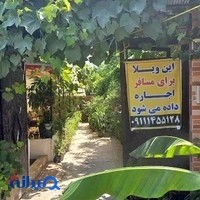 گل و گیاه اطلسی