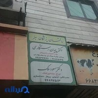 دکتر پیمان رستگاری
