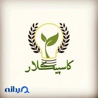 گروه صنعتی کاسپیکلار