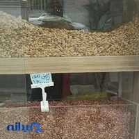آجیل و خشکبار بختیاری