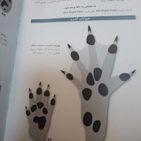 اداره کل حفاظت محیط زیست خراسان رضوی