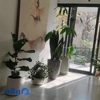 کلینیک خواب دکتر فریبا معینی پور