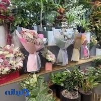 گلفروشی بوته