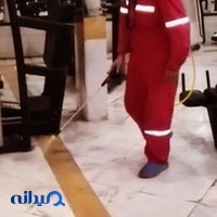 سمپاشی حشرات