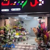 گل رشت