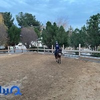 آکادمی سوارکاری ملی