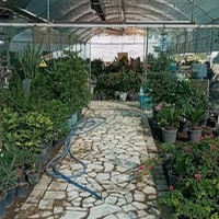 گلسرای کاخ سبز