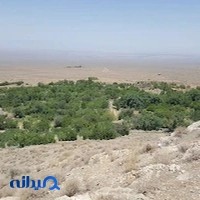 شرکت پلاستیک ناصر